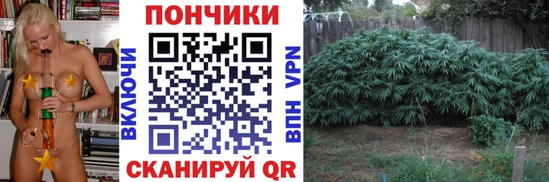 Альфа ПВП Канск