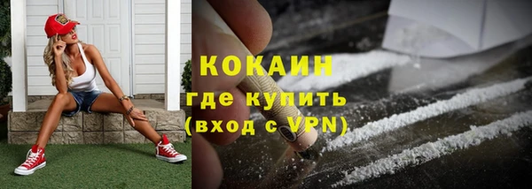 хмурый Инта