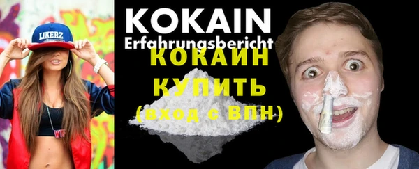 хмурый Инта