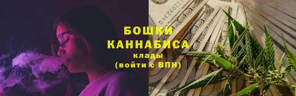хмурый Инта