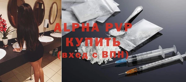 прущие грибы Инсар