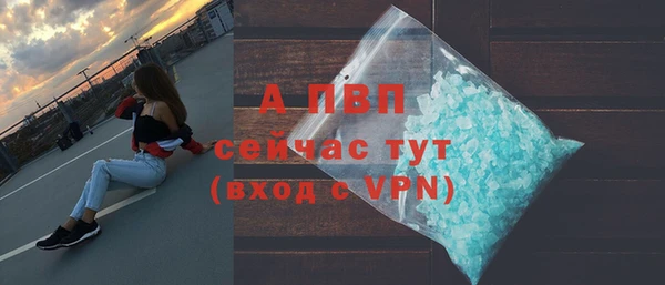 прущие грибы Инсар