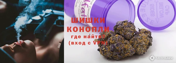 хмурый Инта