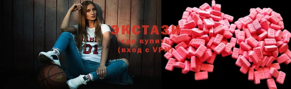 прущие грибы Инсар