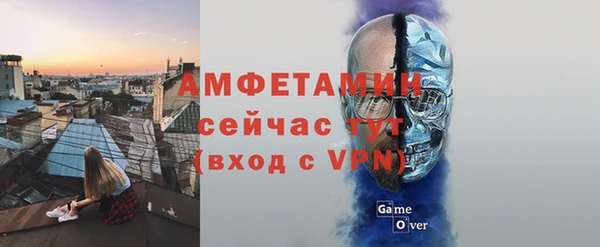 прущие грибы Инсар