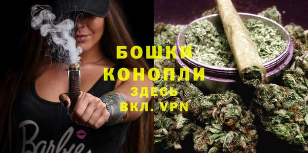 хмурый Инта