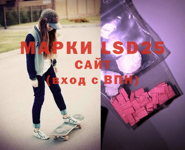 прущие грибы Инсар