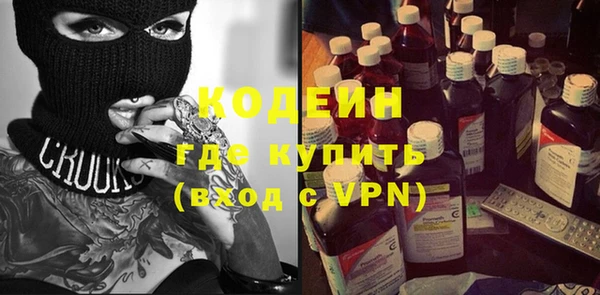 хмурый Инта