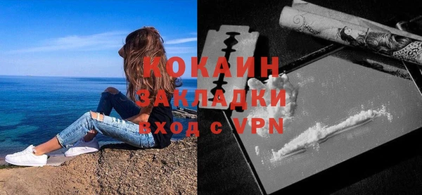 хмурый Инта