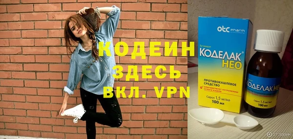 прущие грибы Инсар