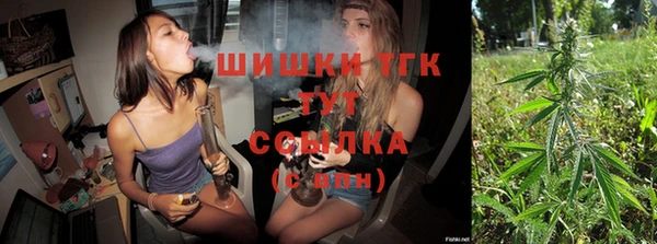 прущие грибы Инсар