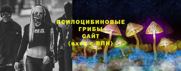 прущие грибы Инсар