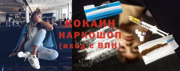 хмурый Инта