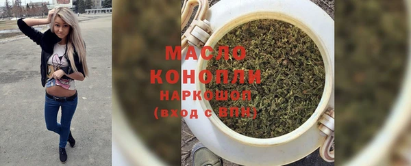 хмурый Инта