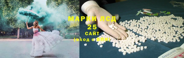 хмурый Инта