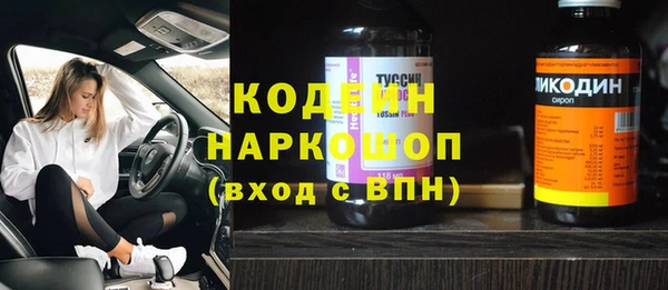 хмурый Инта