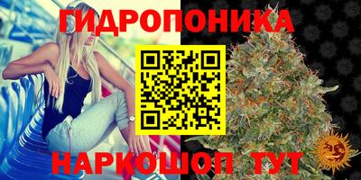 a pvp Рязань