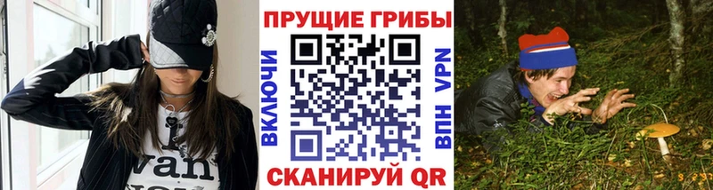 закладка  Канск  Псилоцибиновые грибы MAGIC MUSHROOMS 
