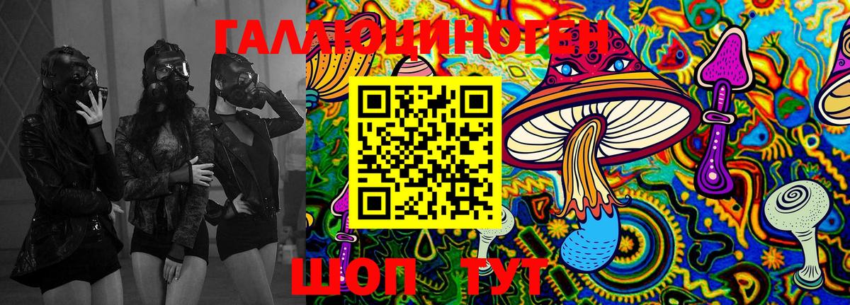 Галлюциногенные грибы GOLDEN TEACHER  Вход с VPN  Канск 