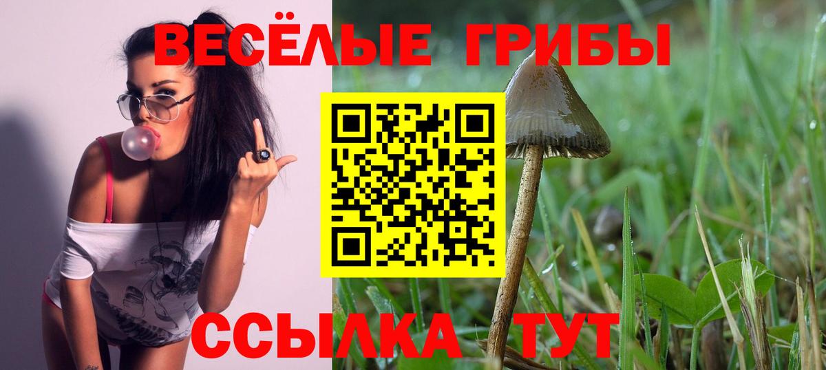 Псилоцибиновые грибы мицелий Канск